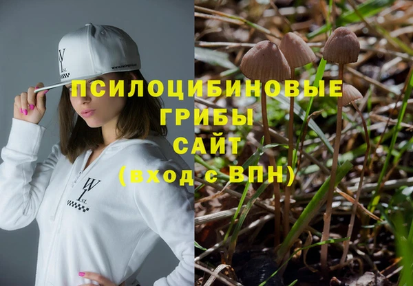 таблы Алзамай