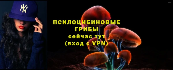таблы Алзамай