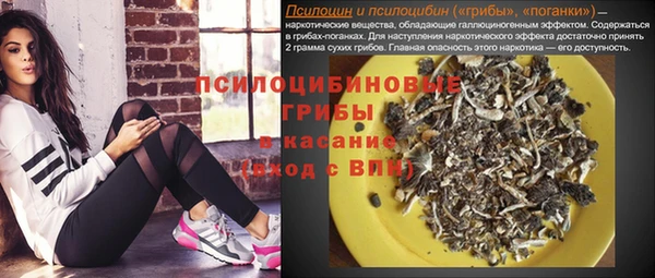 таблы Алзамай